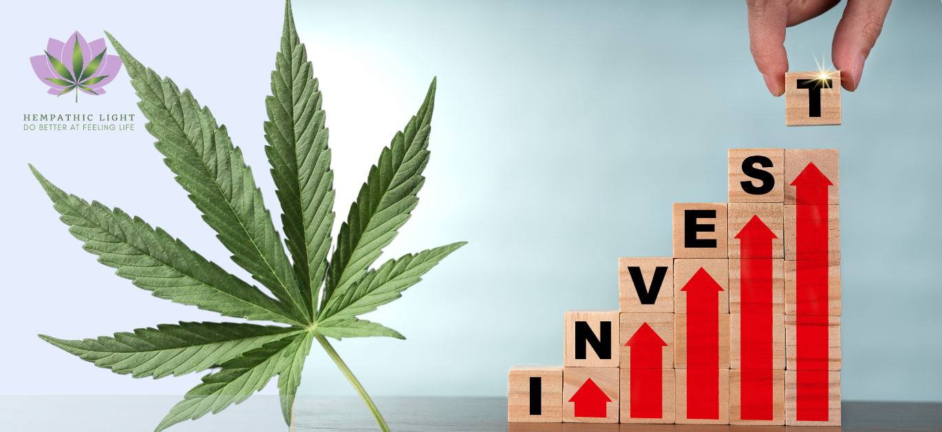 Canabis: investir