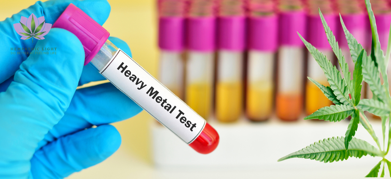 Mão de um pessoa com luva de laboratória a segurar uma pipeta de teste com a etiqueta que diz "Testes de Metais Pesados". Várias amostras ao fundo. Folhas de canábis ao lado direito.