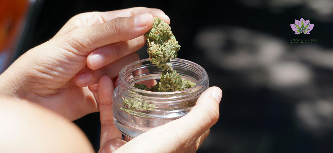 Uma mão a segurar um frasco de vidro aberto contendo brotos de canábis. A outra mão segura um broto